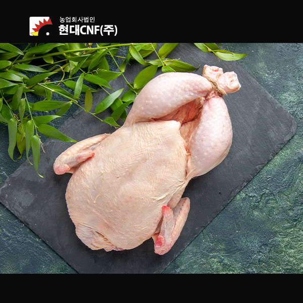 현대씨엔에프