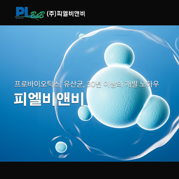 피엘비앤비