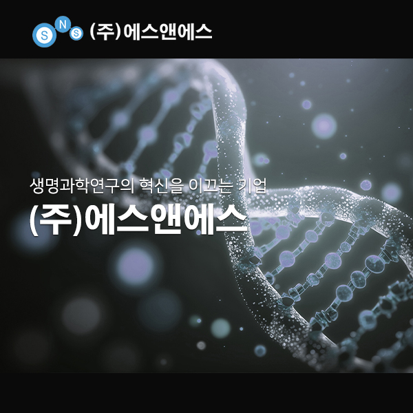에스앤에스