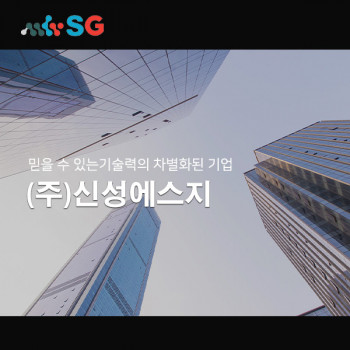 신성에스지