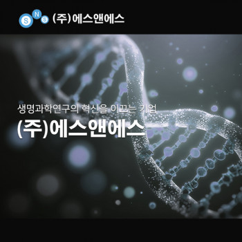 에스앤에스
